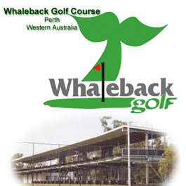 whaleback